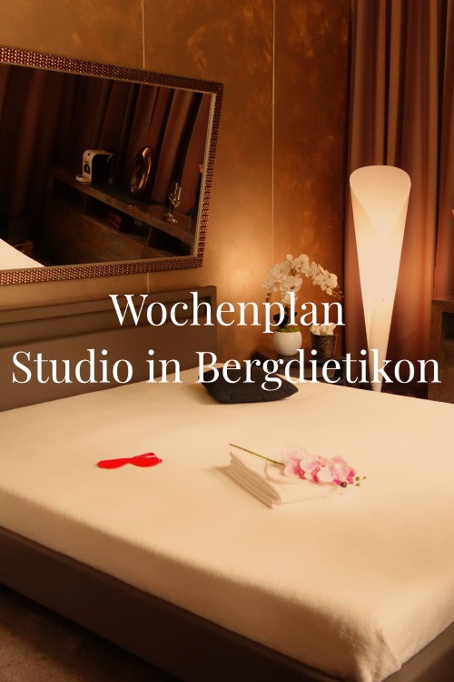Wochenplan Studio in Bergdietikon, Zürich